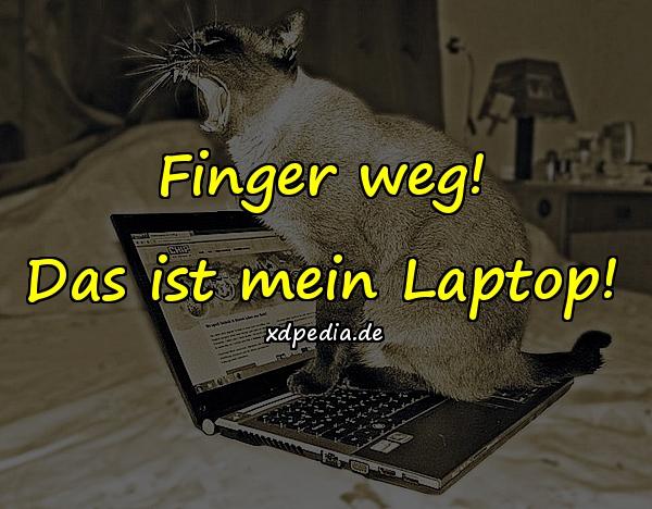 Finger weg! Das ist mein Laptop