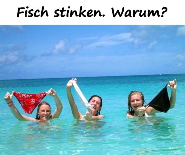 Fisch stinken. Warum