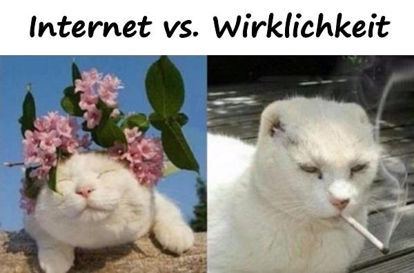 Foto - Internet vs. Wirklichkeit