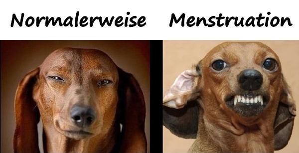 Frau - Normalerweise vs. Menstruation