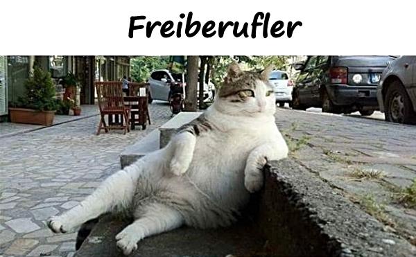 Freiberufler