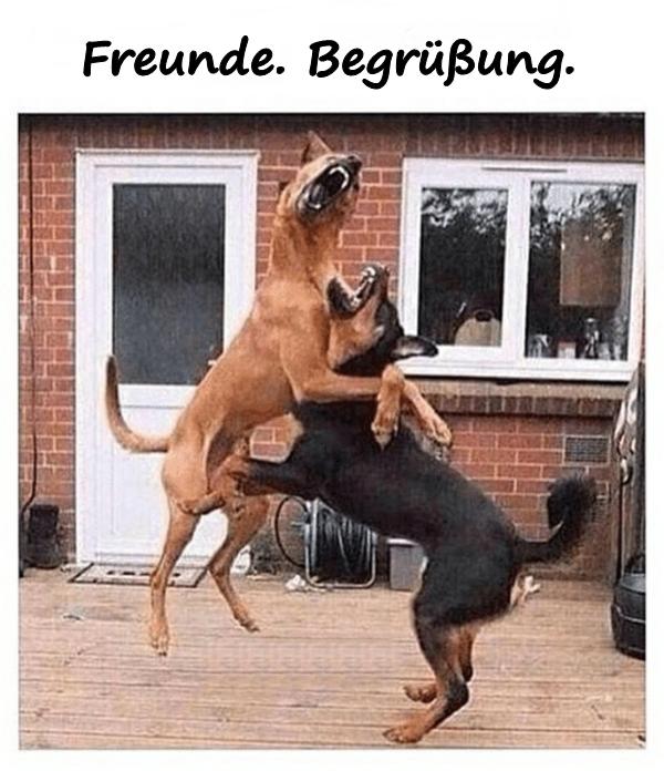 Freunde. Begrüßung