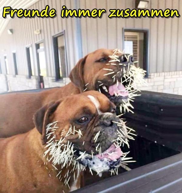 Freunde immer zusammen