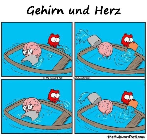 Gehirn und Herz