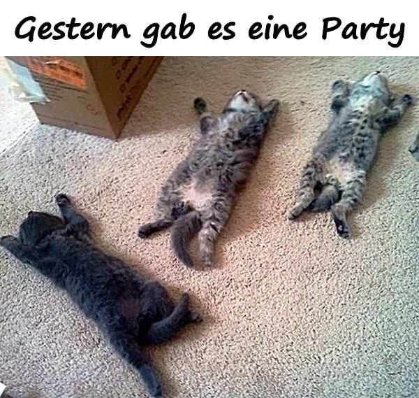 Gestern gab es eine Party