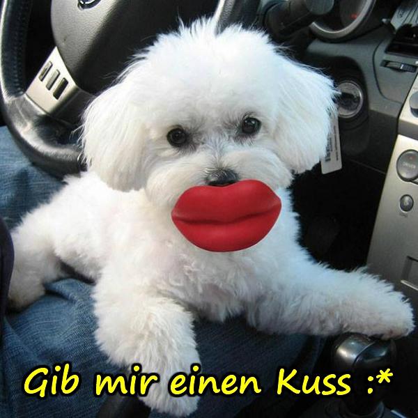 Gib mir einen Kuss