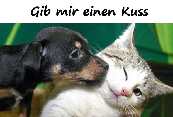 Gib mir einen Kuss