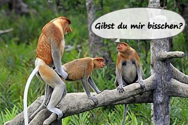 Gibst du mir bisschen