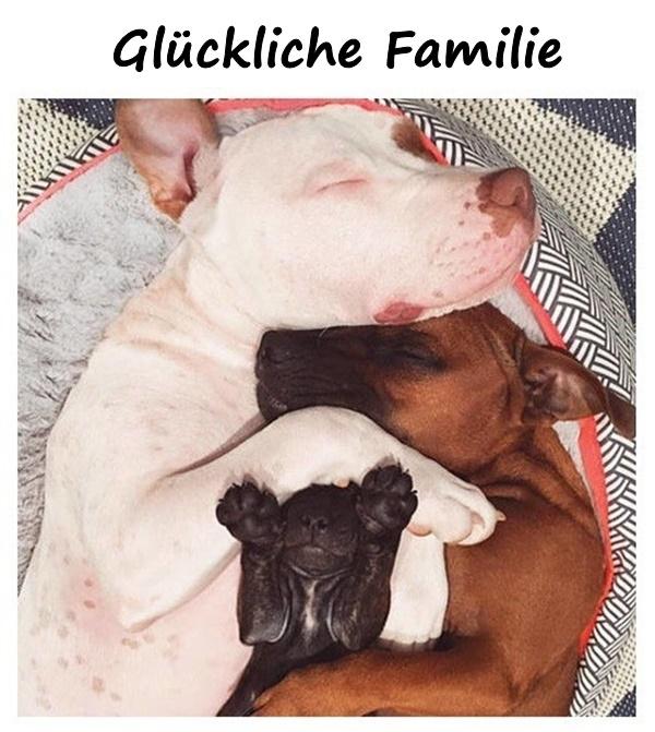 Glückliche Familie