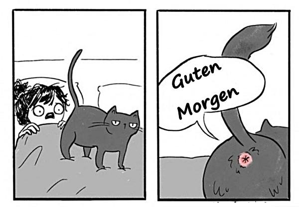 Guten Morgen