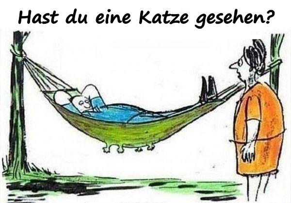 Hast du eine Katze gesehen