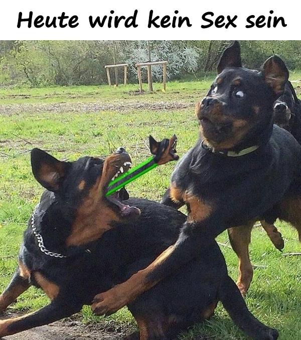 Heute wird kein Sex sein