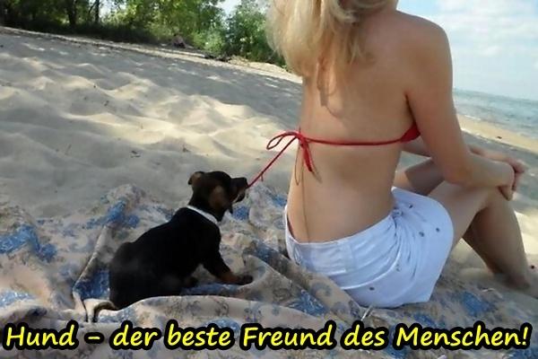 Hund - der beste Freund des Menschen