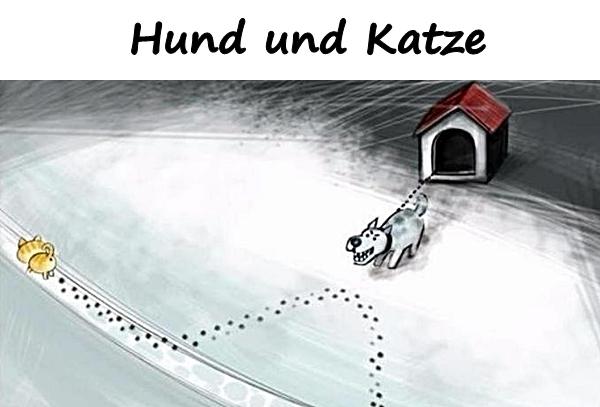 Hund und Katze