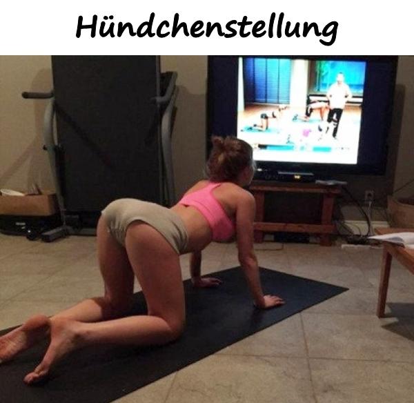 Hündchenstellung