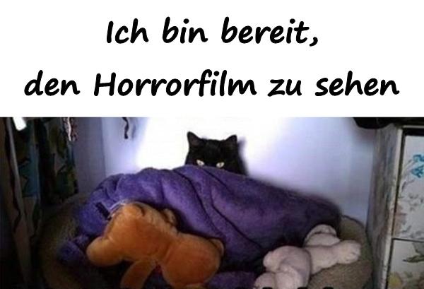 Ich bin bereit, den Horrorfilm zu sehen