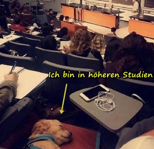 Ich bin in höheren Studien