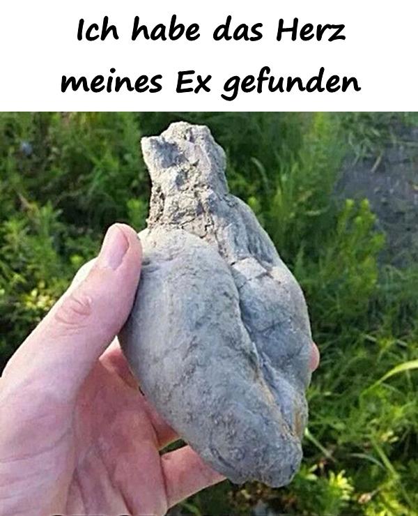 Ich habe das Herz meines Ex gefunden