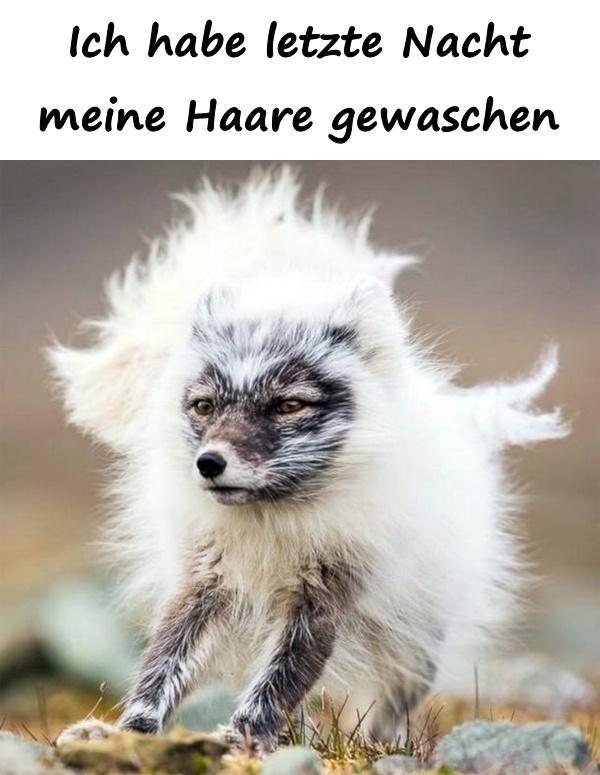 Ich habe letzte Nacht meine Haare gewaschen