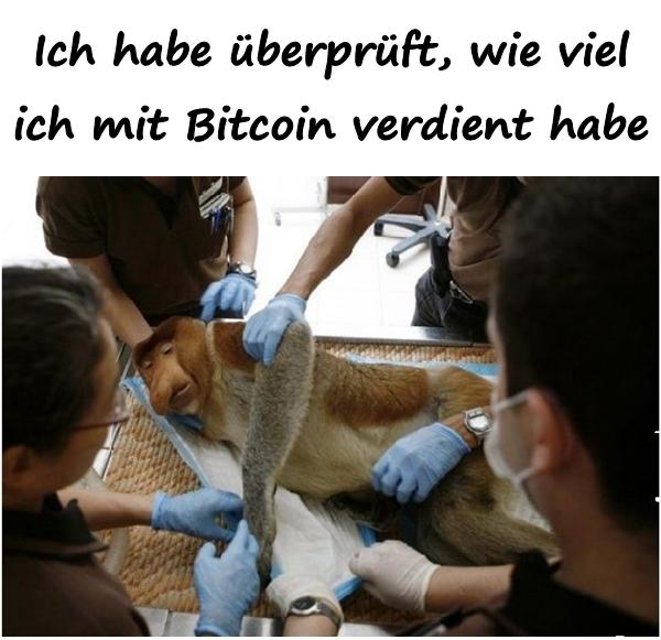 Ich habe überprüft, wie viel ich mit Bitcoin verdient habe