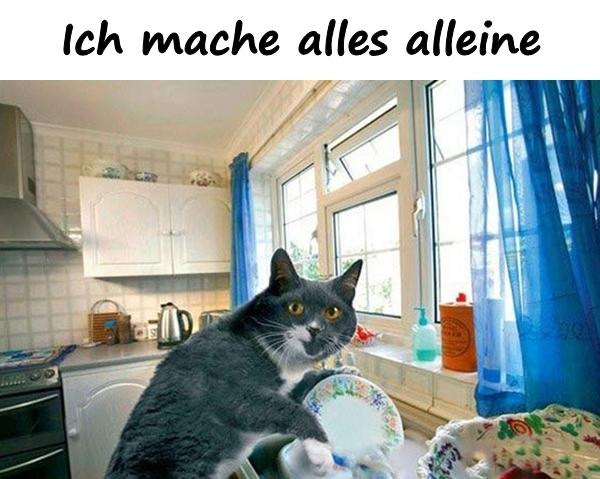 Ich mache alles alleine