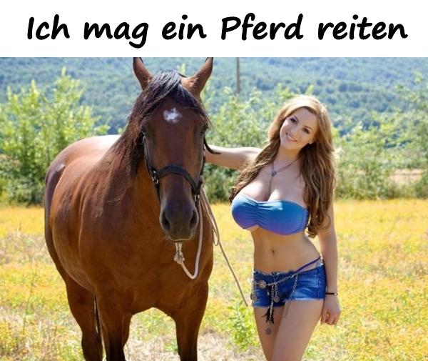 Ich mag ein Pferd reiten