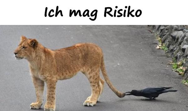 Ich mag Risiko