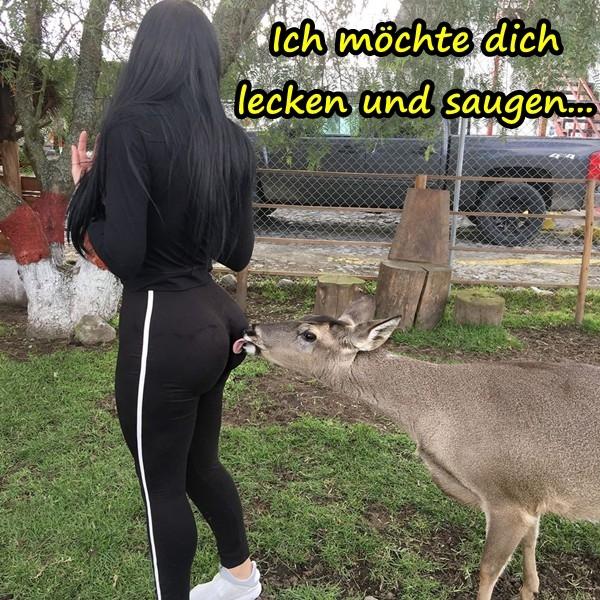 Ich möchte dich lecken und saugen