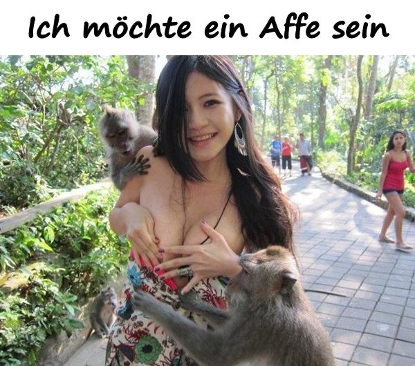 Ich möchte ein Affe sein