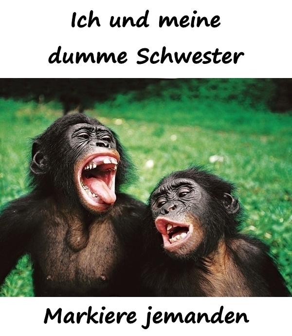 Ich und meine dumme Schwester. Markiere jemanden