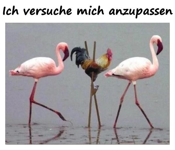 Ich versuche mich anzupassen