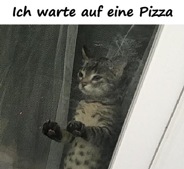 Ich warte auf eine Pizza