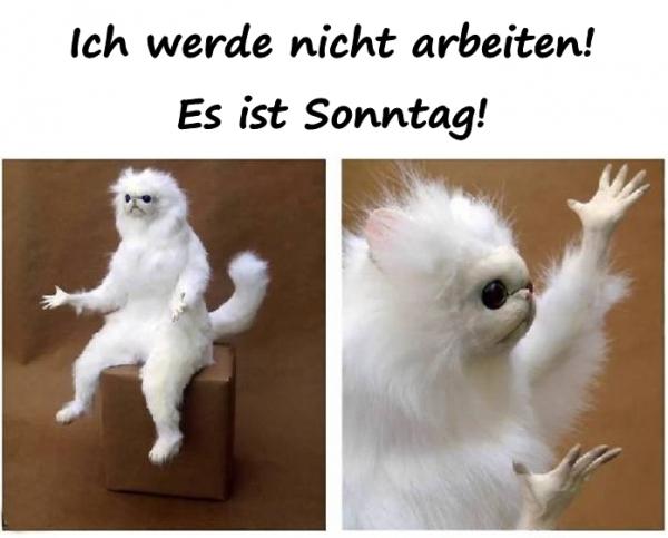 Ich werde nicht arbeiten! Es ist Sonntag