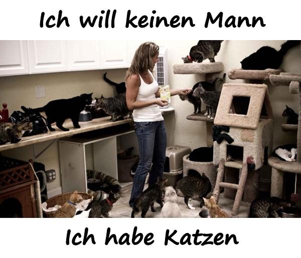 Ich will keinen Mann. Ich habe Katzen