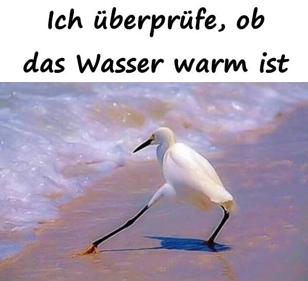 Ich überprüfe, ob das Wasser warm ist