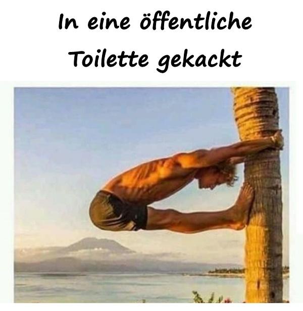 In eine öffentliche Toilette gekackt