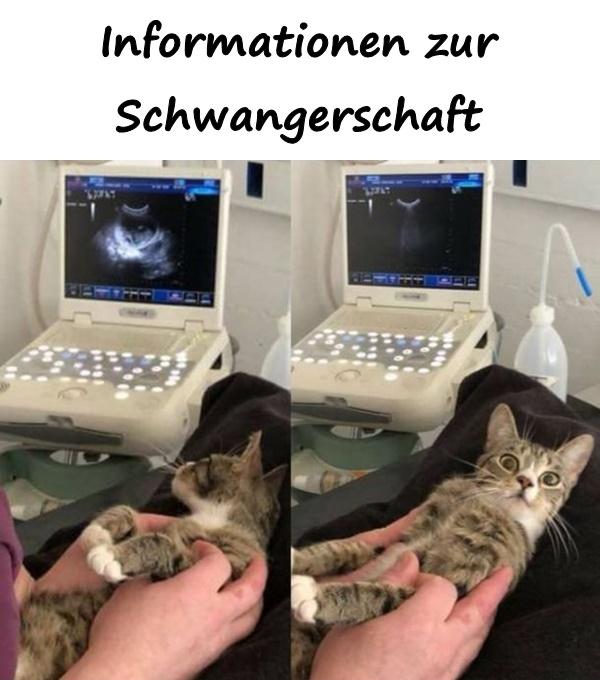 Informationen zur Schwangerschaft