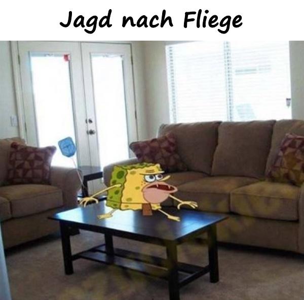 Jagd nach Fliege