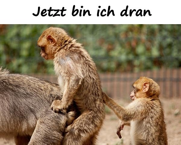 Jetzt bin ich dran