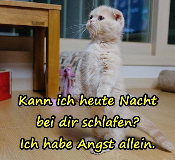 Kann ich heute Nacht bei dir schlafen? Ich hab Angst allein