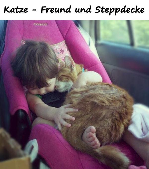 Katze - Freund und Steppdecke