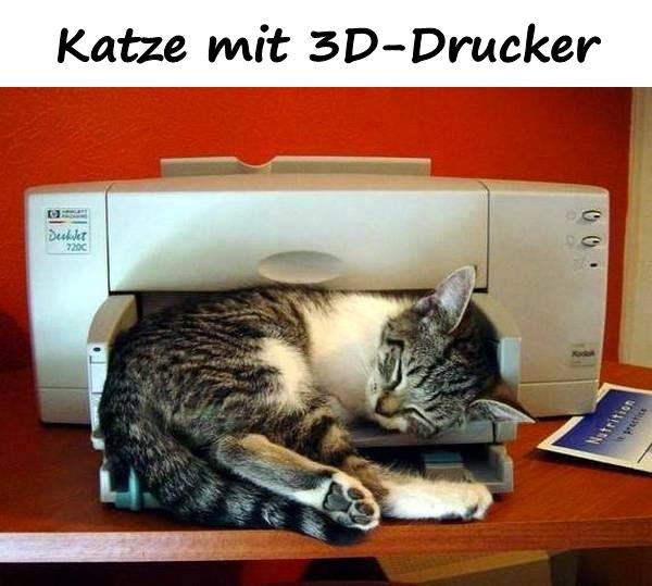 Katze mit 3D-Drucker