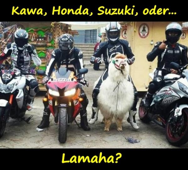 Kawa, Honda, Suzuki oder... Lamaha