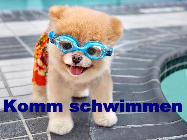 Komm schwimmen