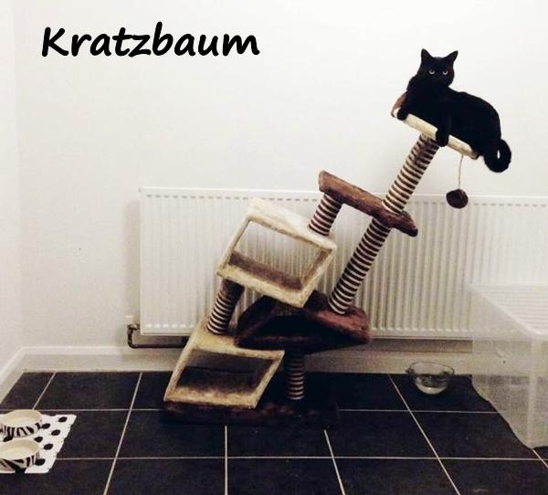 Kratzbaum