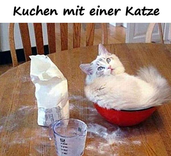 Kuchen mit einer Katze