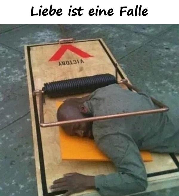 Liebe ist eine Falle