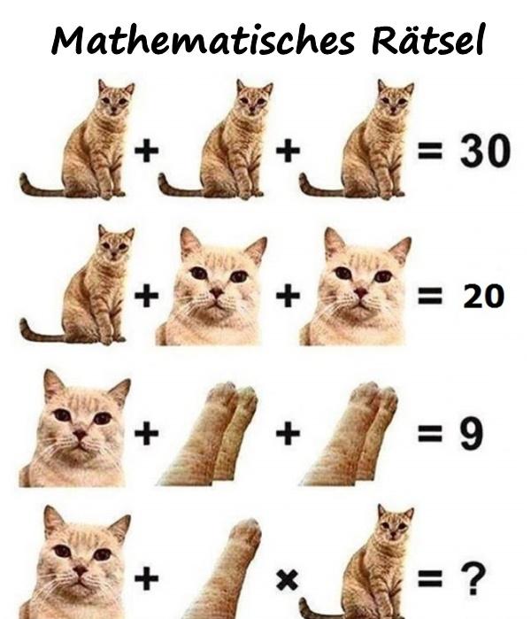 Mathematisches Rätsel