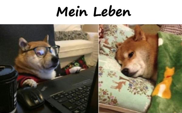 Mein Leben