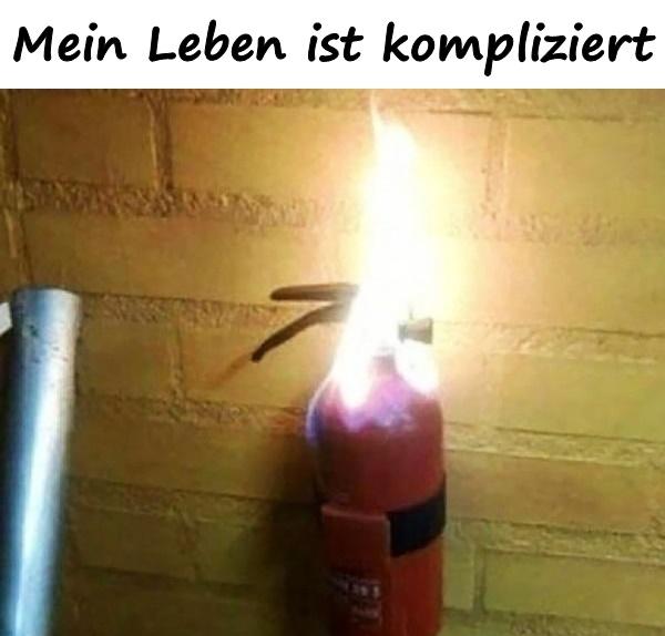 Mein Leben ist kompliziert